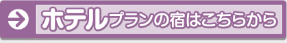 ホテルプランの宿はこちらから