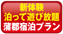 がまごおり温泉郷宿泊プラン